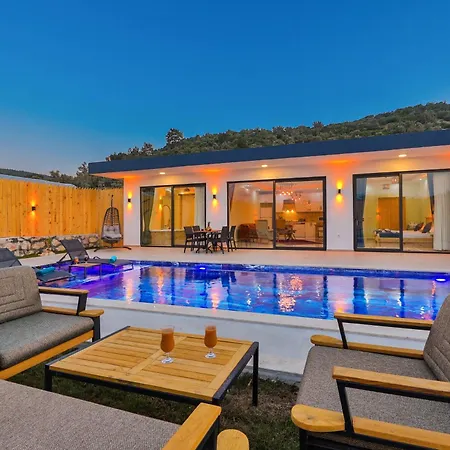 Patara كاس